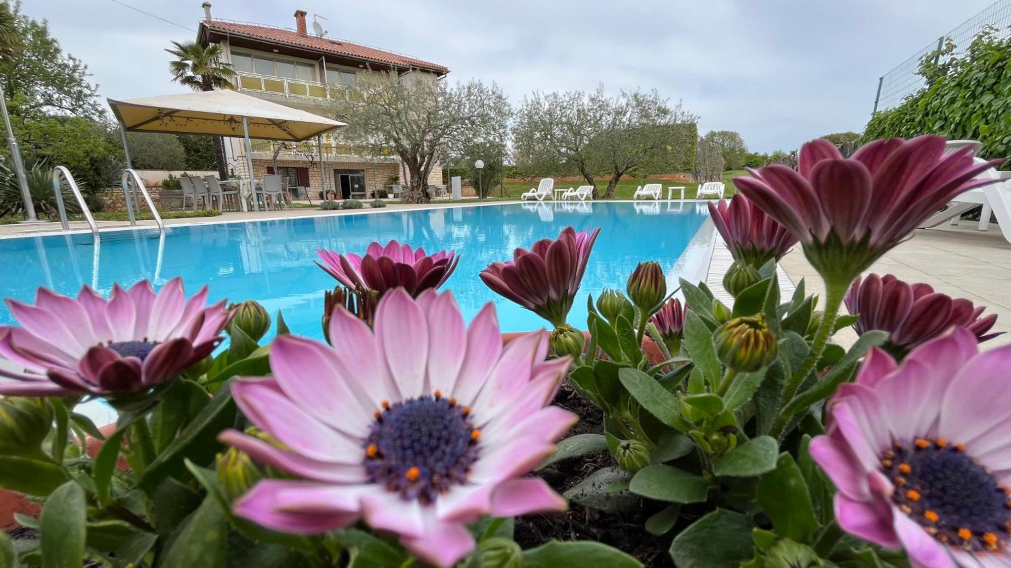 Pansion Margerita Bed & Breakfast Poreč Exterior foto